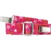 Playshoes Elastik-Gürtel Clip Sterne In Pink 1 Playshoes Elastik-Gürtel Clip Sterne In Pink -Playshoes playshoes elastik gurtel clip sterne in pink